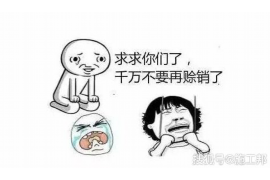 黄浦收债公司联系方式：专业债权回收，助您无忧解忧
